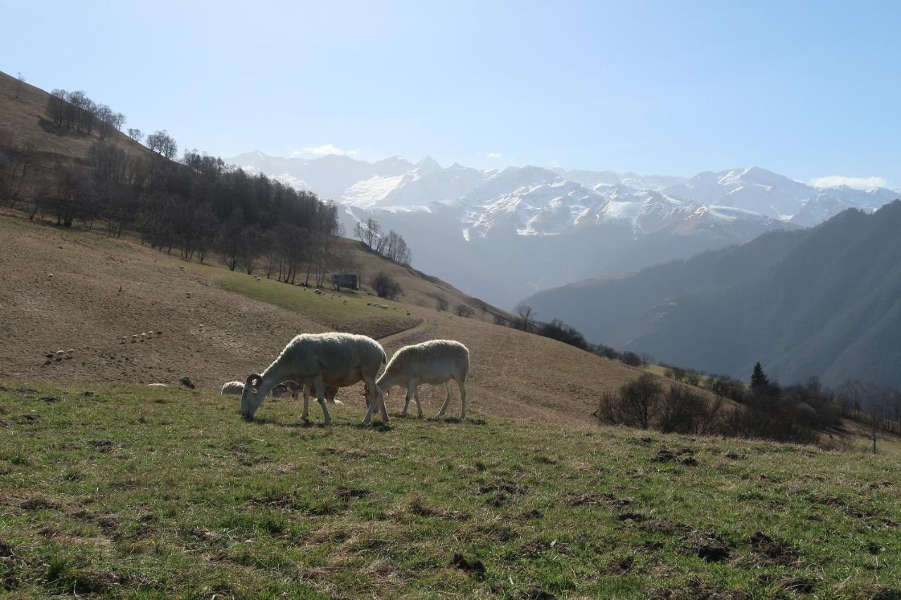 Studio Hyper Centre Lumineux Et Fonctionnel Luchon Bagnères-de-Luchon Екстериор снимка