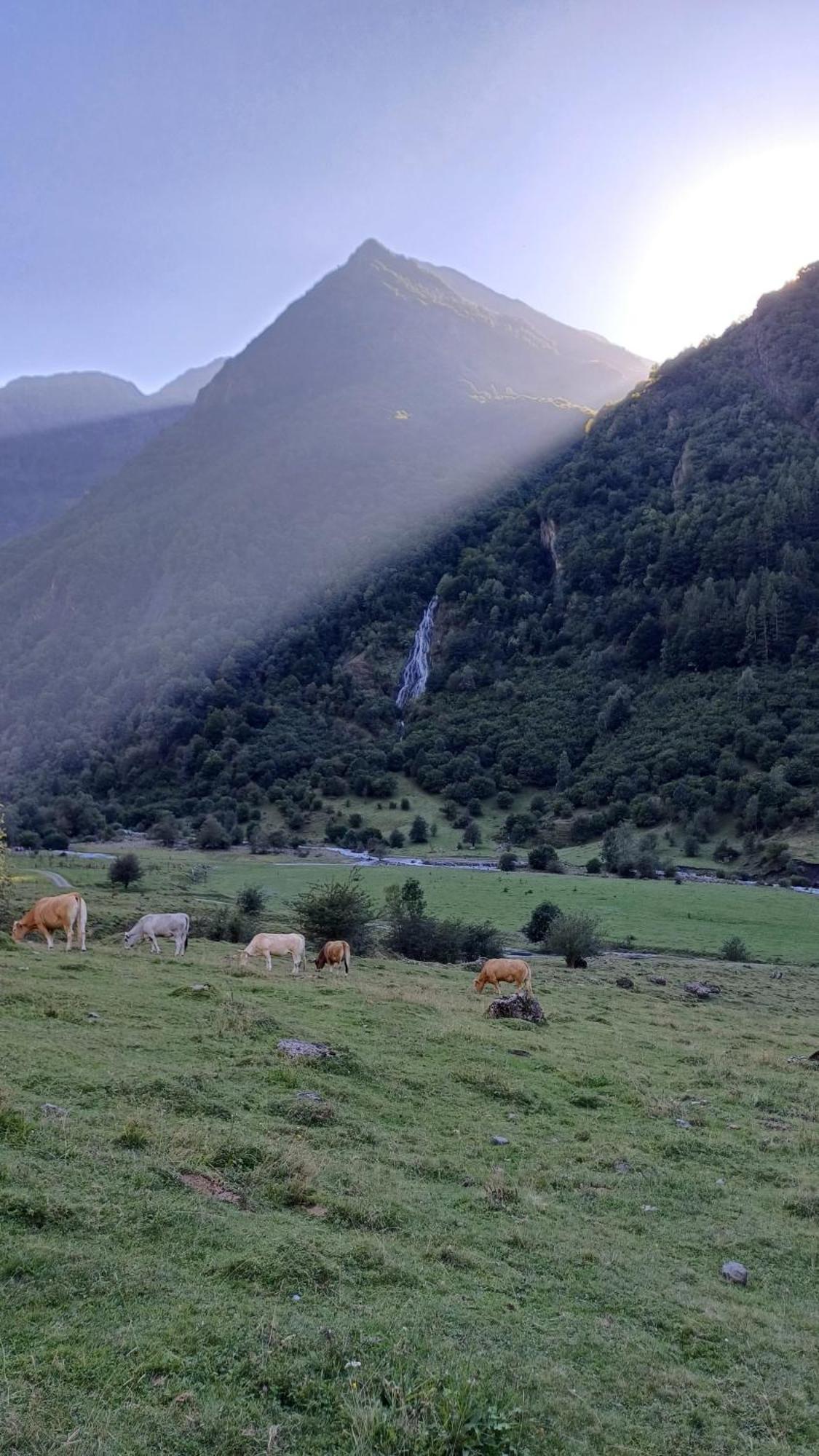 Studio Hyper Centre Lumineux Et Fonctionnel Luchon Bagnères-de-Luchon Екстериор снимка